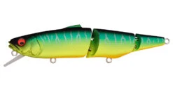 Megabass SuWitch -go fishing color chart 011 SuWITCH MAT TIGER