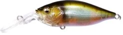 Megabass Deep-X 100 LBO 31 Megabass Deep-X 100 LBO -go fishing deep x100lbo 07 pm oikawa m