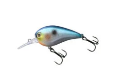 Jackall Digle 4 Plus -go fishing digleSSShad
