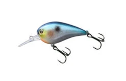 Jackall Digle 5 Plus -go fishing digleSSShad 121ea2eb 2de2 46db bc83 20c9f40381c8