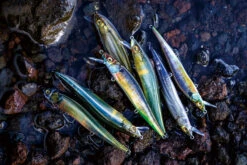 Megabass Ito Vision 110 Fine Art -go fishing fineart