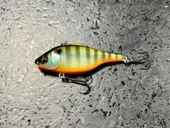 Megabass Vibration-X Smatra Bone Knocker 19 Megabass Vibration-X Smatra Bone Knocker -go fishing image 381acbc9 569c 4f20 b29f 1bb0b9b677ae