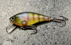 Lucky Craft Fat CB BDS 4