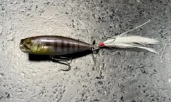 Two Side 21 Two Side -go fishing image 94e0d783 ba4f 49f8 8837 3268c846d582