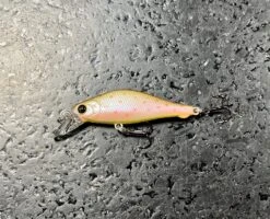 Lucky Craft Pointer 45S -go fishing image bedc022e 6486 4055 aff8 f9099d3c84db