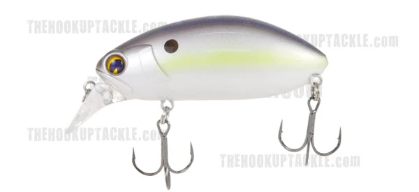 Ima Rattling Roumba 2 Ima Rattling Roumba - Image 2