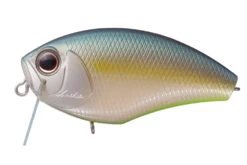 Daibuzzin Heavy Hitter -go fishing img b64