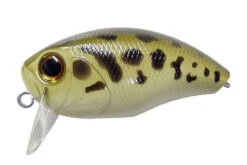 Buzzin Crank -go fishing img buzzn pp56