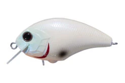 Tiny Blitz -go fishing img f49