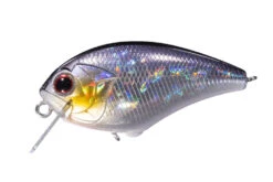 Blitz SSR -go fishing img h09 a3fb5d02 c93a 42e0 a2a5 1546e4100044