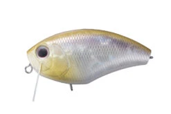 Daibuzzin -go fishing img h23 33c29910 2a4a 44c4 917f 387f85da0a0e