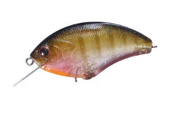 Blitz Max -go fishing img l16