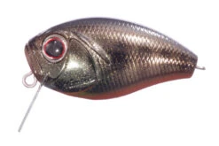 CoBuzzin -go fishing img me16