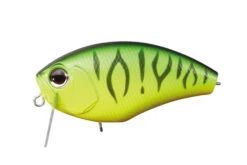 Daibuzzin -go fishing img p14 711ea194 55e2 4080 bff8 05a1a98d4b56