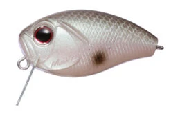 CoBuzzin -go fishing img pp21