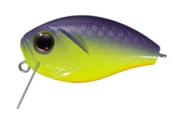 CoBuzzin -go fishing img pp81 82234341 07c8 417f 8978 7f11dfaf4100