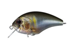 Tiny Blitz -go fishing img rp39 8a14756e 5d98 4ce3 be92 16463edb7780