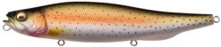Megabass Megadog 26 Megabass Megadog -go fishing megadog sp c 12 mat rainbow