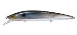 Jackall Rerange -go fishing rerangesilvershad
