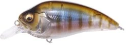 Megabass Super Z-1 Crank 25 Megabass Super Z-1 Crank -go fishing super z z1 08 gillkko