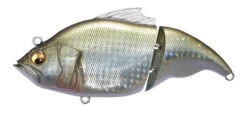 Megabass Vatalion -go fishing vatalionggginbuna600