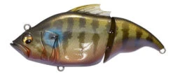 Megabass Vatalion -go fishing vatalionitocichlid600