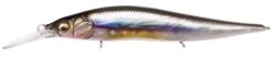 Megabass Ito Vision 110 Plus 1 Junior -go fishing vision oneten plus1 jr usa 17 kasumi ito